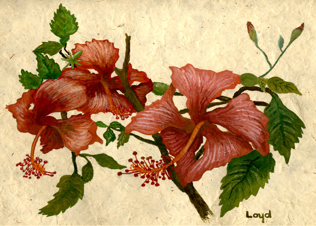 Red Hibiscus