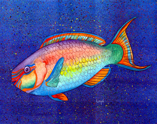 Parrot Fish