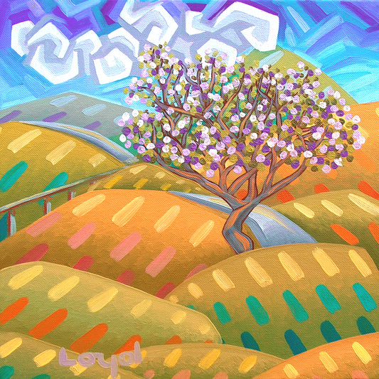 Jacaranda Spring
