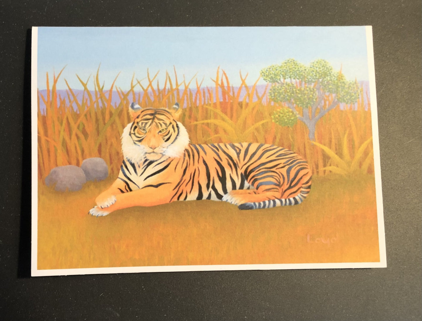 Animal Art Card Set