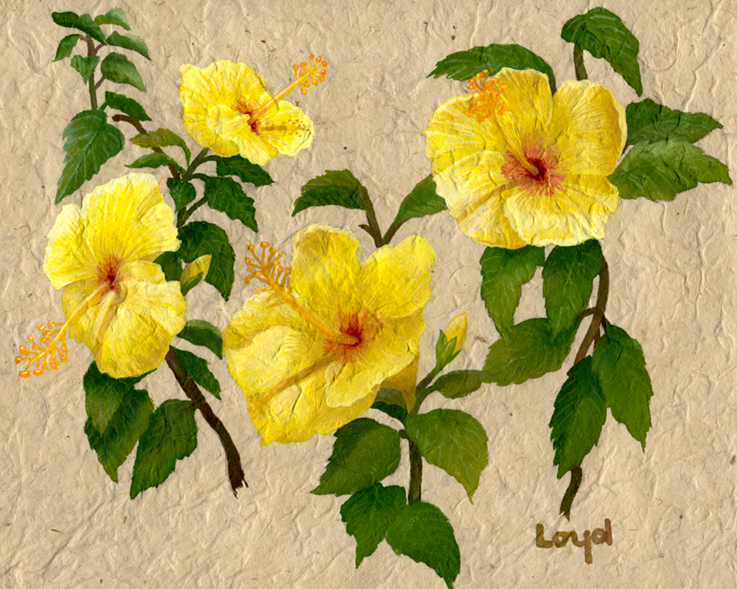 Hawaiian Floral Art Card Set