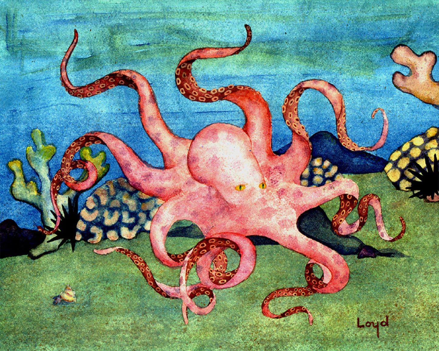 Octopus