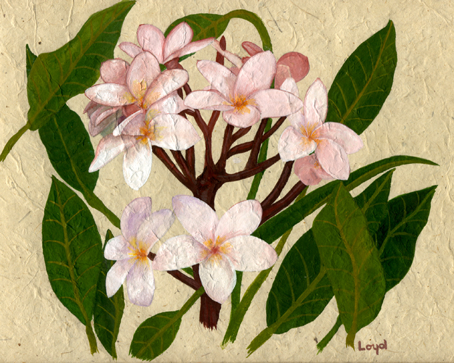 Hawaiian Floral Art Card Set