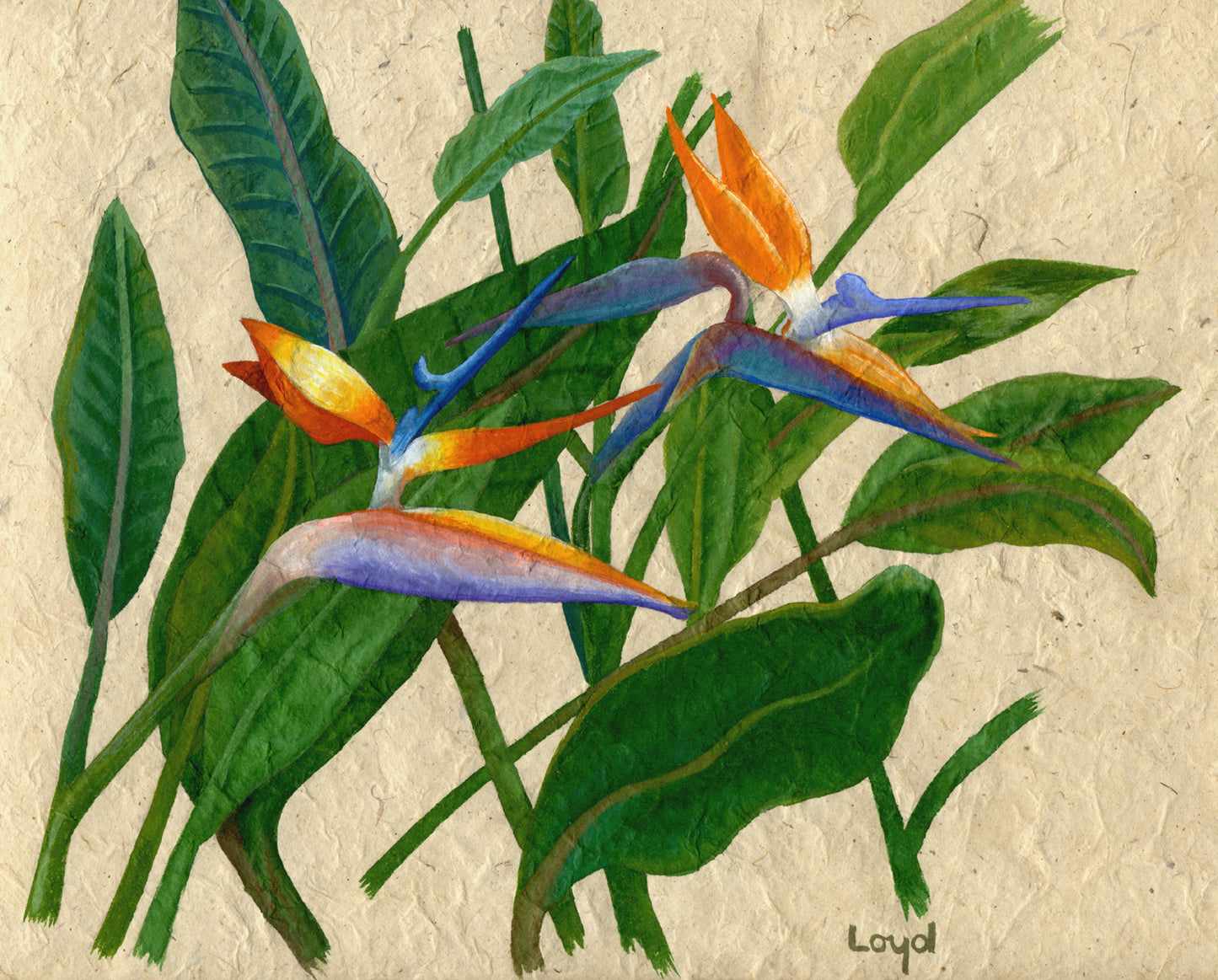 Hawaiian Floral Art Card Set