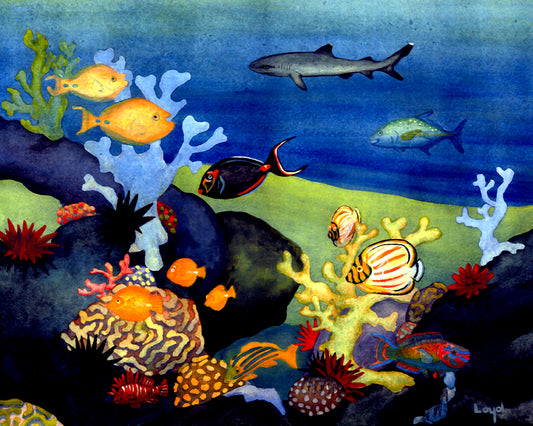 Reef with Shark