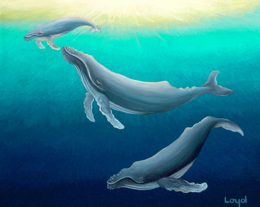 Whale Family