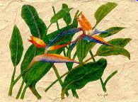 Bird of Paradise