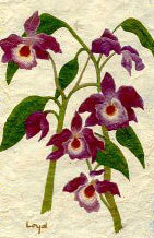 Hawaiian Floral Art Card Set