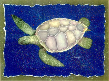 Turtle A