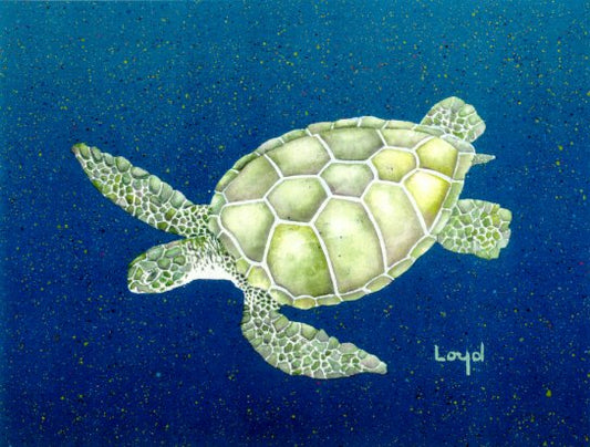 Turtle B