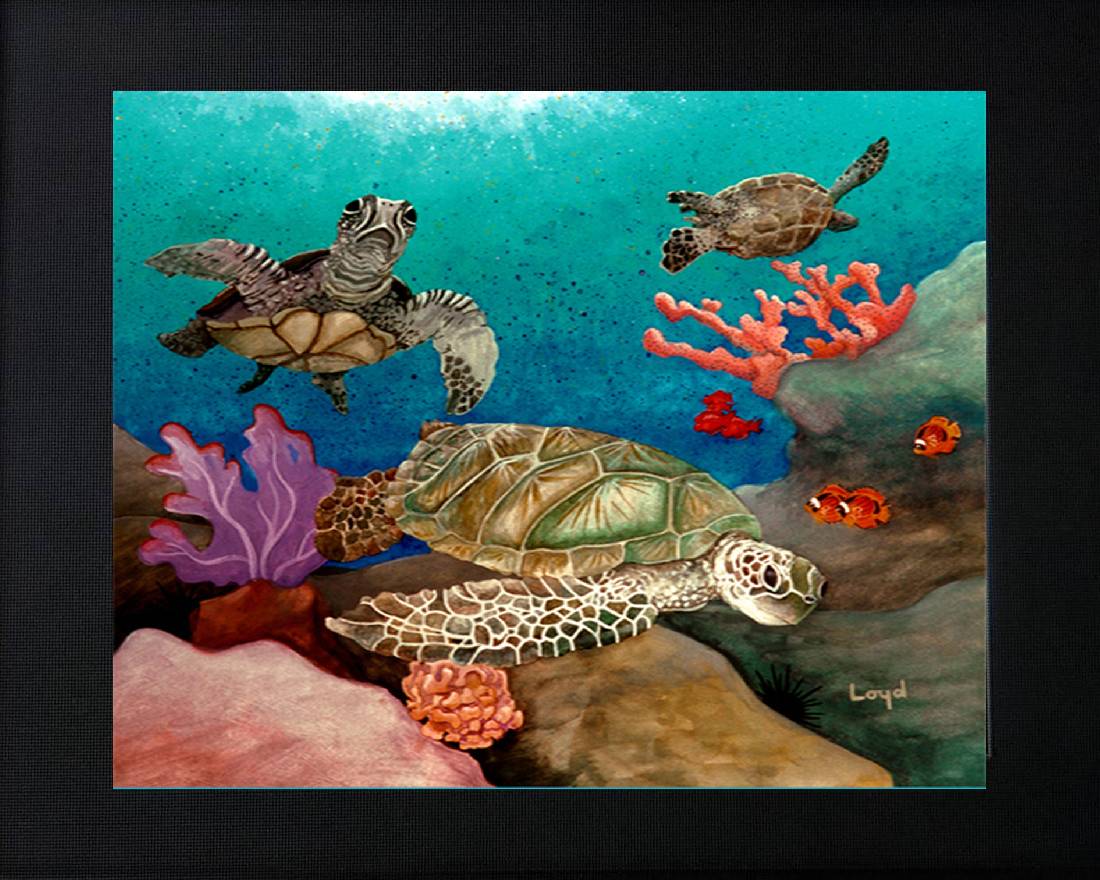 11" x 14" Matted 3 Honu